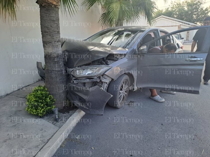 Encaja sedán en una palma