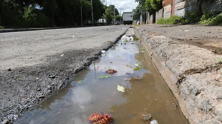 Casos de dengue van al alza en Monclova, Frontera y Nadadores