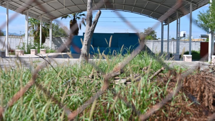 Escuelas llenas de maleza son un riesgo latente de dengue