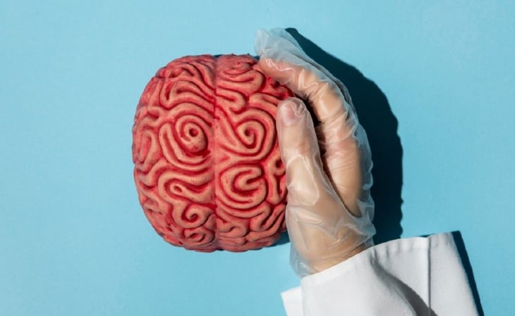 Cuida tu cerebro: Recomendaciones del IMSS para una salud cerebral óptima