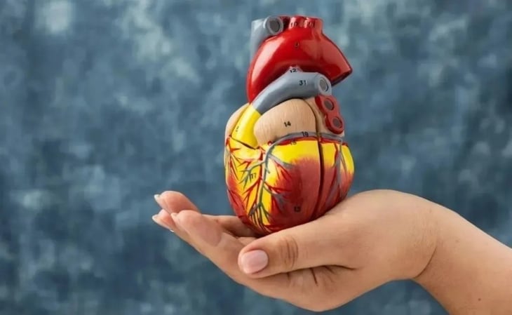 Cómo cuidar tu corazón si tienes más de 35 años: Claves para una vida saludable