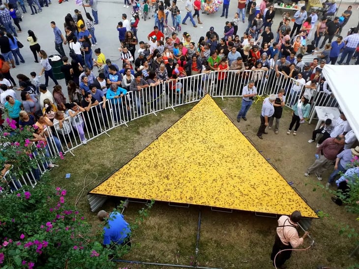 Grupo Caballo Dorado hará bailar A todos en el “Festival del Nacho”