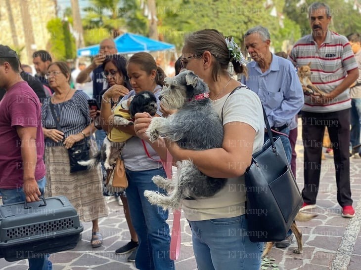 Bendición anual de mascotas llena parroquia San Francisco de Asís 