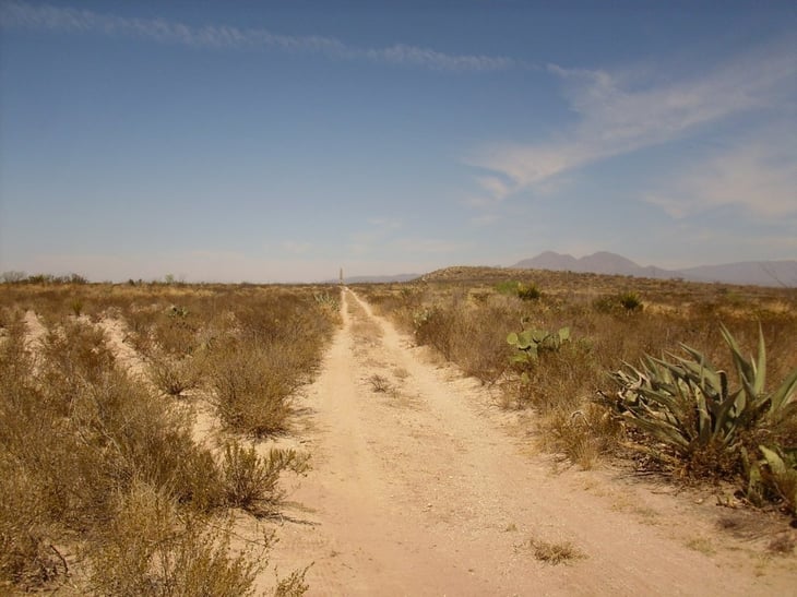 Camino real de Coahuila y Texas; columna vertebral de población