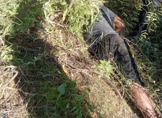 Hombre fue encontrado inconsciente y cubierto de hormigas a la orilla de la carretera 30 