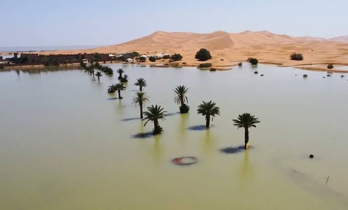 Lluvias atípicas generan inundaciones en el Desierto del Sahara