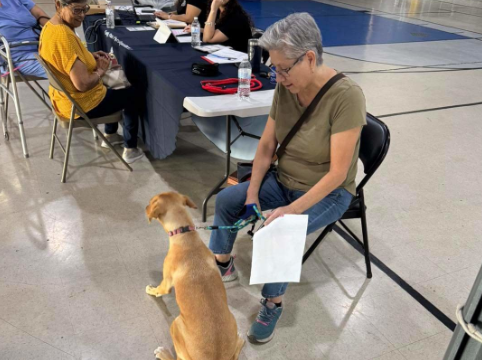 Veterinarias de Piedras Negras registran aumento en colocación de micro chips