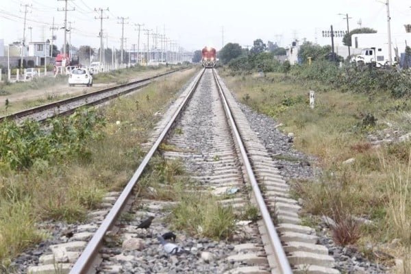 Consideran insuficiente presupuesto para trenes