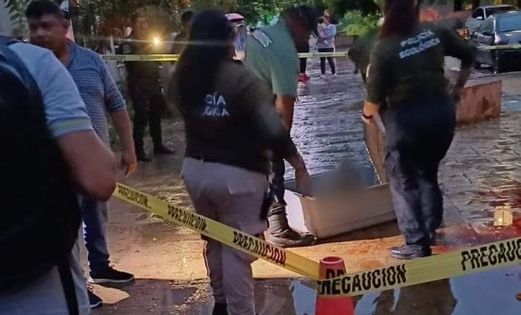 Matan a machetazos a un perro en Yucatán