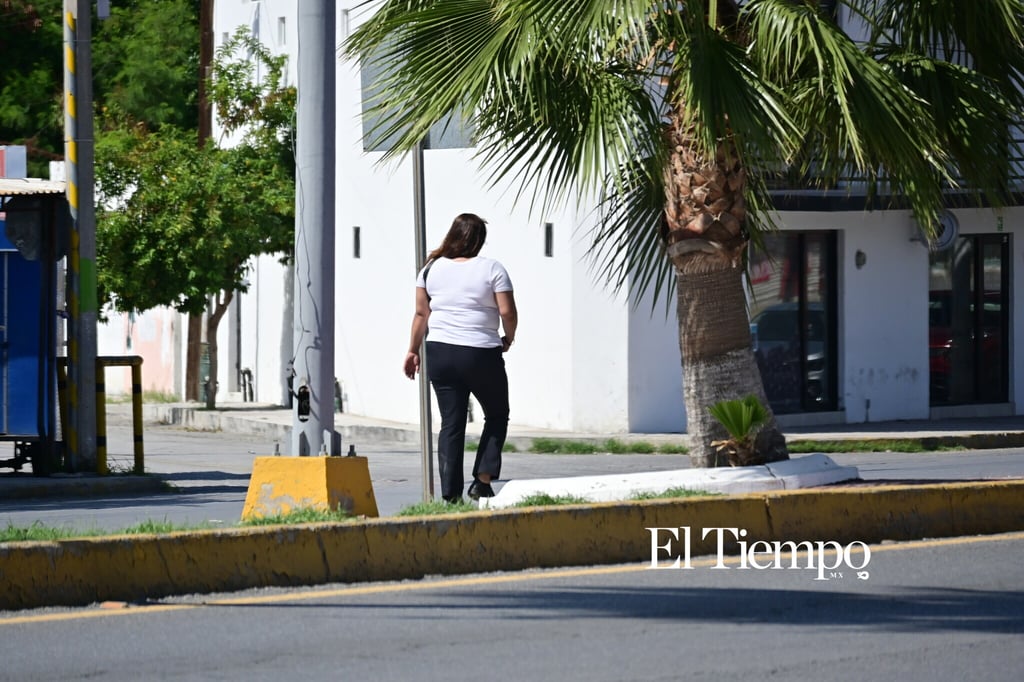 Galería fotográfica: Calor transforma la rutina diaria en Monclova