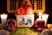 Día de Muertos: conoce la fecha ideal para honrar a tus mascotas