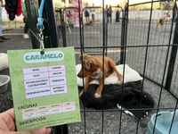 Centro de Bienestar Animal de Monclova celebra su primer año fortaleciendo la cultura de adopción y responsabilidad