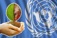 24 de octubre: Día de la ONU y contra el cambio climático