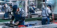 Retroceso laboral golpea a la industria maquiladora en Coahuila