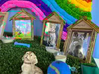 Tradición de amor y memoria: familias de Monclova también honran a sus mascotas en Día de Muertos