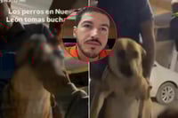 Samuel García confirma sanción a hombres que dieron whisky a un perro en Nuevo León