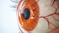 Los escáneres oculares podrían ayudar a determinar el riesgo para la salud cardiaca