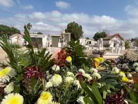 Ecología de Monclova supervisará retiro de flores marchitas en panteones tras Día de Muertos