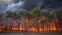 El cambio climático causa más muertes por calor y humo de incendios forestales