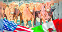 Texas exige reabrir la frontera con México para importar ganado
