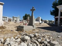 Abejas atacan a decenas de personas en Panteón Guadalupe de Monclova