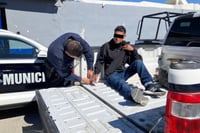 Arranque de celos termina con detención en Monclova