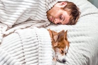 ¿Qué pasa si duermes con tu mascota cada noche?