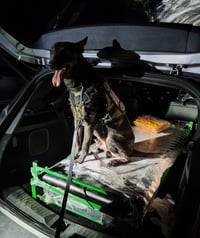 Golpe al narco en La Laja: aseguran 23.5 kilos de cristal y detienen a dos mujeres en Piedras Negras