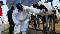 Ganaderos de EU piden arancel del 25% al ganado mexicano