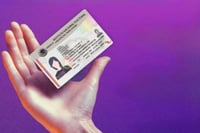 INE abre licitación internacional para credencial de votar 2026