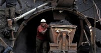 CFE repite patrón en licitación de contratos de carbón