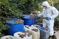 Aseguran más de 5 mil litros de sustancias químicas en operativos en Sinaloa