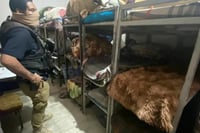 Detienen a tres por muerte de interno de centro de rehabilitación en Jalisco