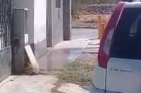 Simas recibe denuncias diarias por desperdicio de agua en Monclova y Frontera