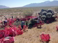 Tráiler cargado de aguacates vuelca en la 57 y desata rapiña