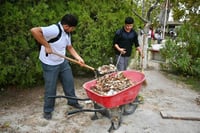 CBTis 239 impulsa cuidado del plantel y bienestar estudiantil