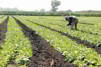 Conagua advierte a productores por falsos gestores de concesiones de agua
