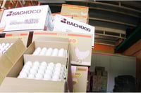 Bachoco exportará cerdo congelado a la República del Congo