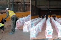 Policía de Colombia incauta 14 toneladas de cocaína en puerto de Buenaventura