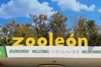 Diputados exigen investigar muertes en Zoológico de León