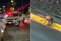 Perro provoca choque en plena lluvia y termina sin vida en el bulevar Pape