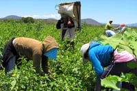 Sector agropecuario satisfecho con negociación de Ley General de Aguas