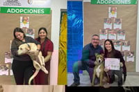 Navidad de segundas oportunidades impulsa adopciones en el Centro de Bienestar Animal