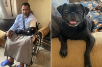 Accidente frena a rescatista y busca apoyo riesgo para alimentar a sus animales