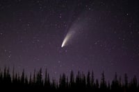 Cometa 3I/ATLAS pasa cerca de la Tierra: cuándo y cómo verlo