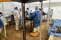 Identifican 160 de los 383 cuerpos hallados en crematorio de Ciudad Juárez