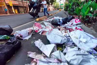 Diputada de MC plantea reforma constitucional por propaganda electoral sustentable