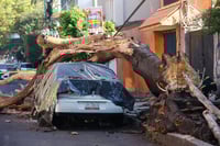 Sismo de 6.5 deja daños en 24 municipios de Guerrero; San Marcos, el más afectado