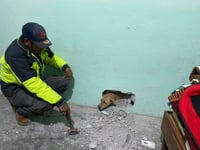 Perrito asustado por pirotecnia es rescatado en Múzquiz Coahuila