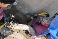 Suman seis los cuerpos localizados en fosas clandestinas de Irapuato